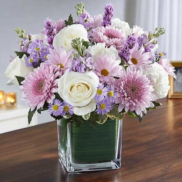 Purple harmony