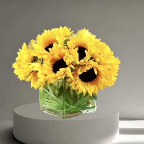 Sunflowers arranged in a clear square vase