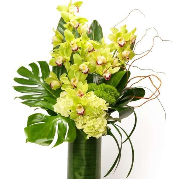 Tall green cymbidium orchid and hydrangea arrangement with large tropical leaves in a glass cylinder vase