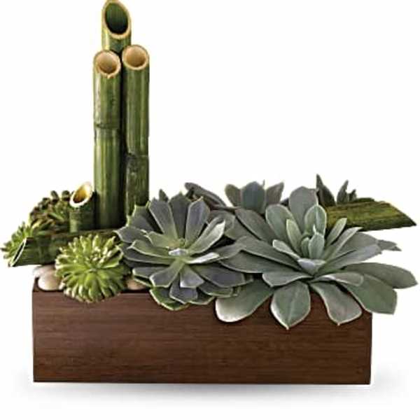 Succulent arrangement in a rectangular wooden planter with bamboo accents