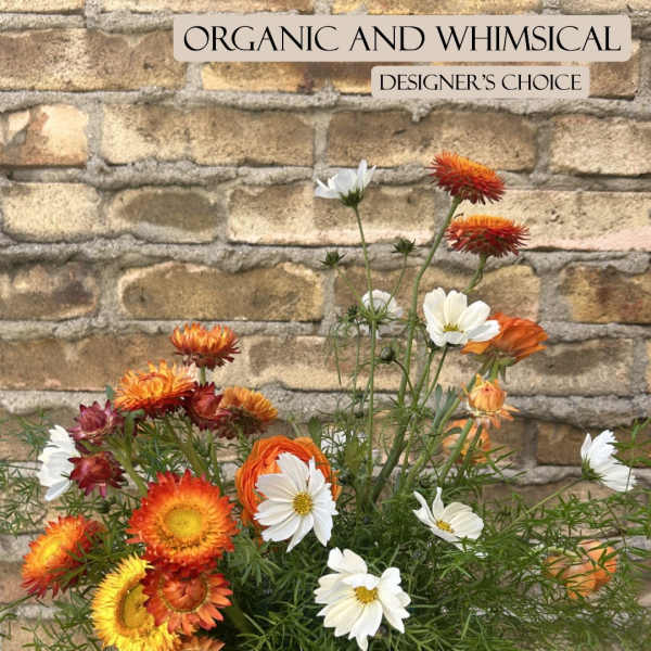 Orange and white daisy-like flowers in a loose arrangement against a brick wall.