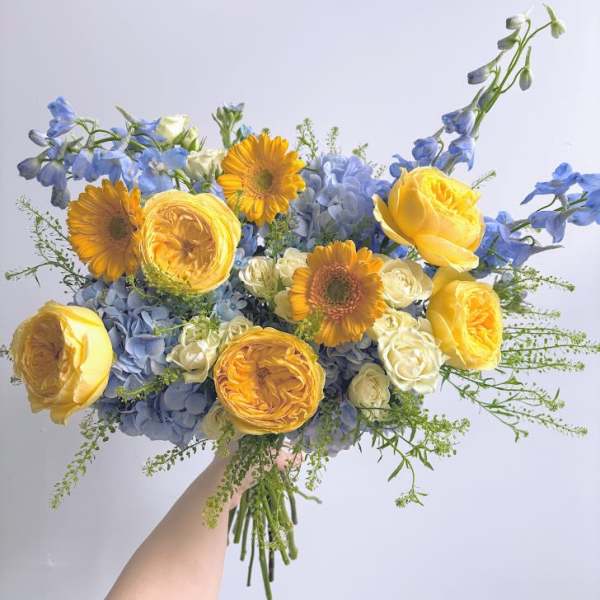 Sunny Skies