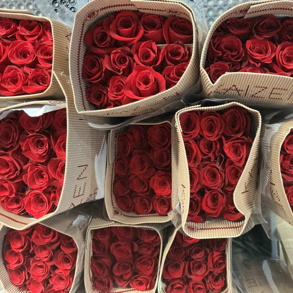 Bunch of red roses