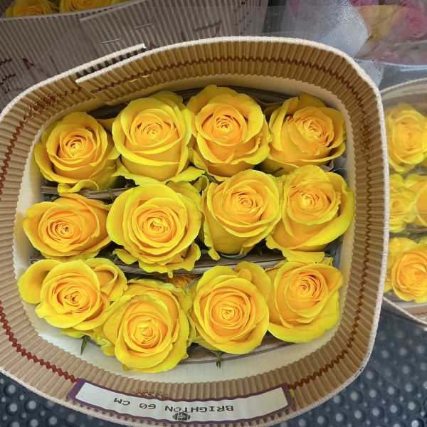 Bunch of yellow roses