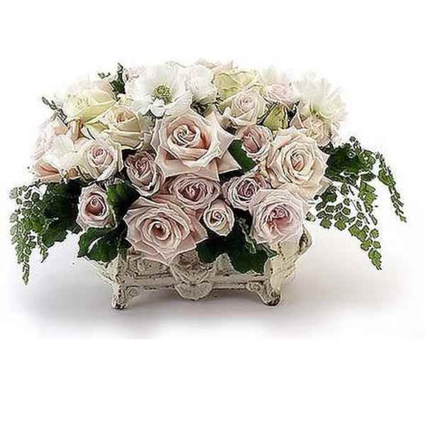 Timeless Elegance