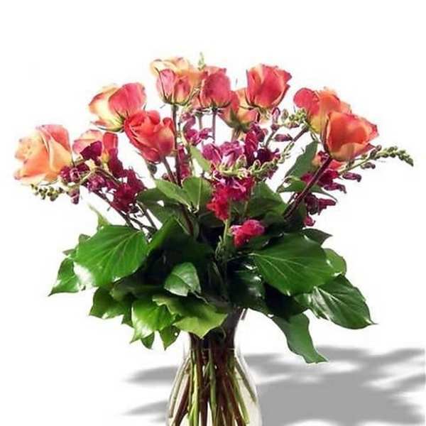 Roses & Snapdraggons