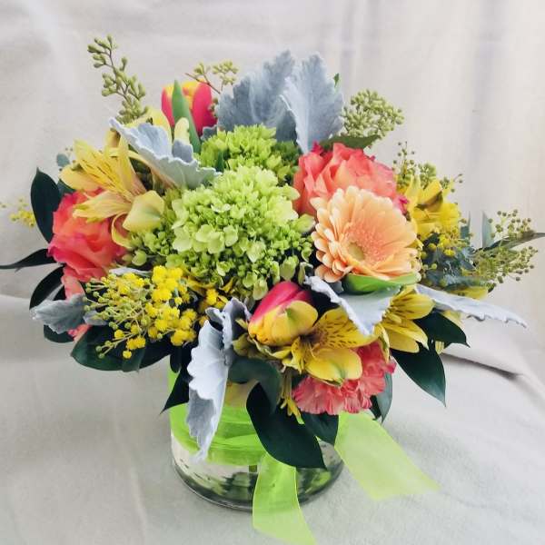 Citrus colors