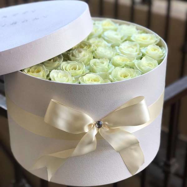 Round box of pale cream roses with a satin ribbon
