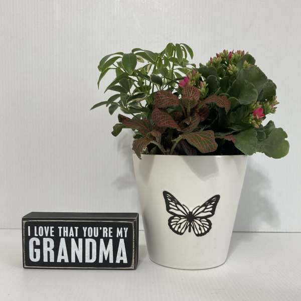 I Love You Grandma