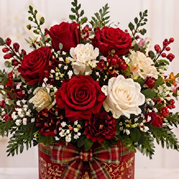 Holiday Rose Glow