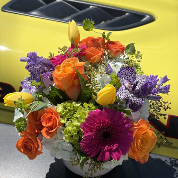 Day Dreaming NY