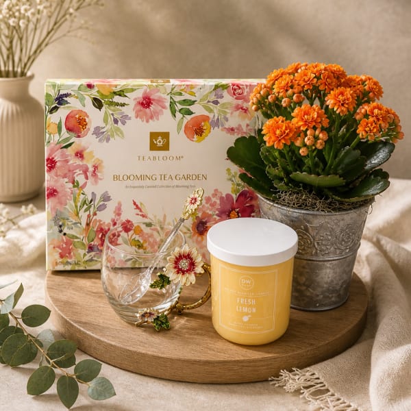 The Cozy Bloom Collection
