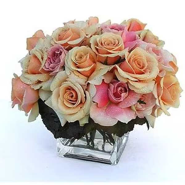 Rose Extravaganza