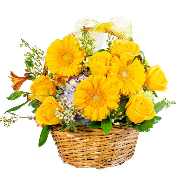 Basket Full of Sunshine - TMF-1527