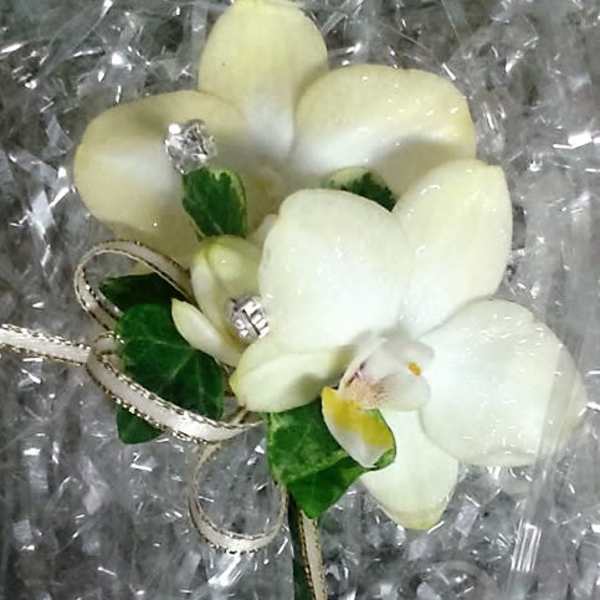 White orchid corsage with silver ribbon on clear wrap