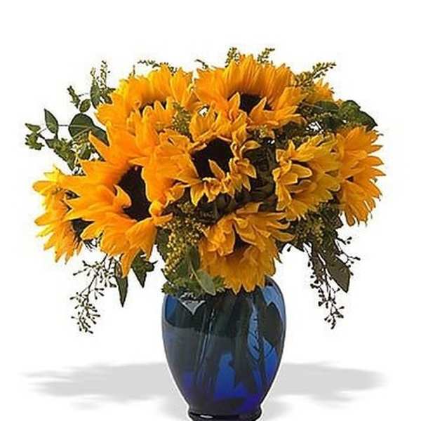 Sunny Sunflowers