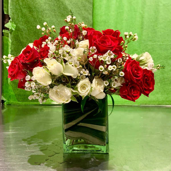 Red and white roses arranged in a square glass vase