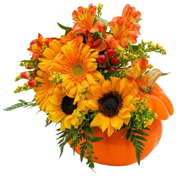 Pumpkin Daze - TMF-1581