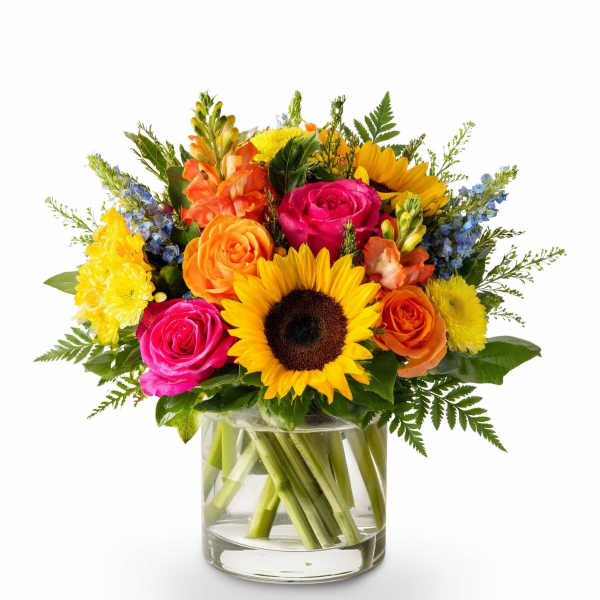 Sunshine Fiesta