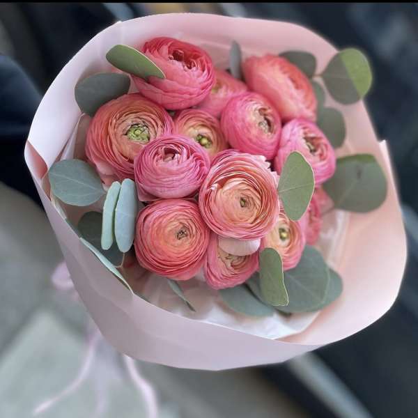 Bouquet of pink ranunculus wrapped in pale pink paper