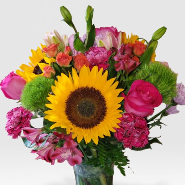 Summer Is Here