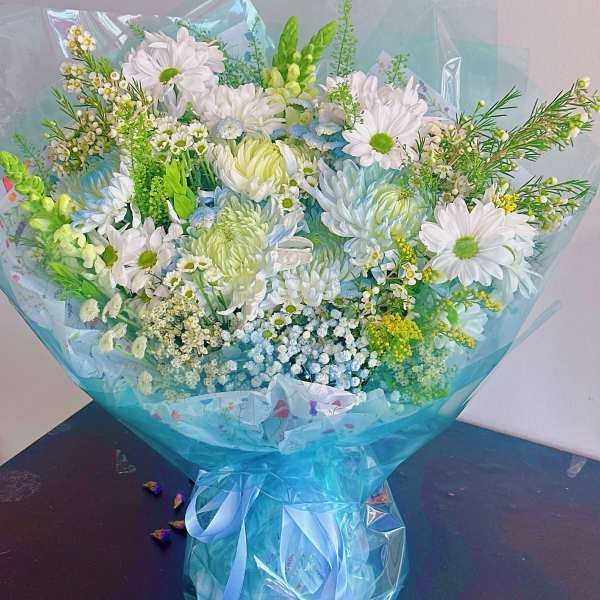 Bouquet of white daisies and pale blue flowers wrapped in blue cellophane