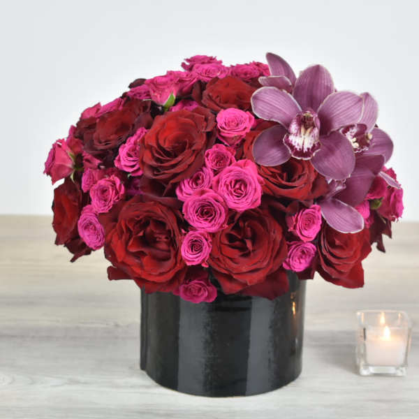 Dark Night