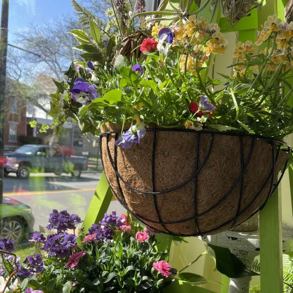 Garden Basket
