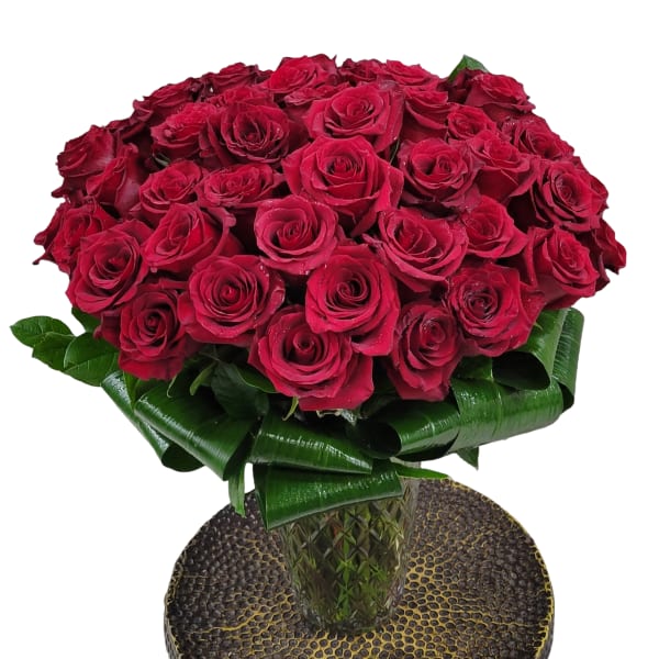 50 Kisses