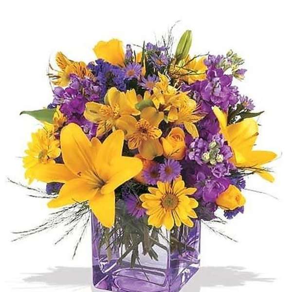 Purple Passion