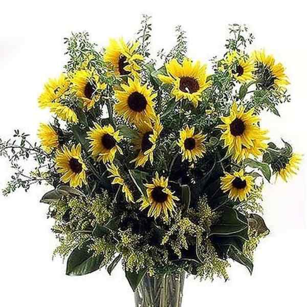 Simply Sunflowers