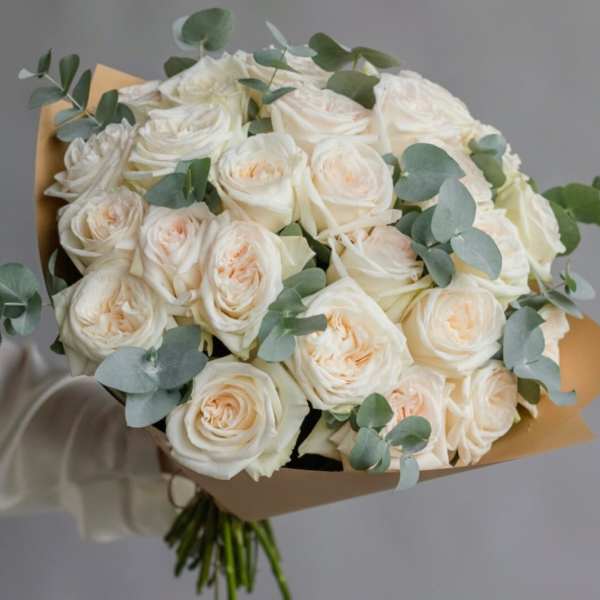 № 223
