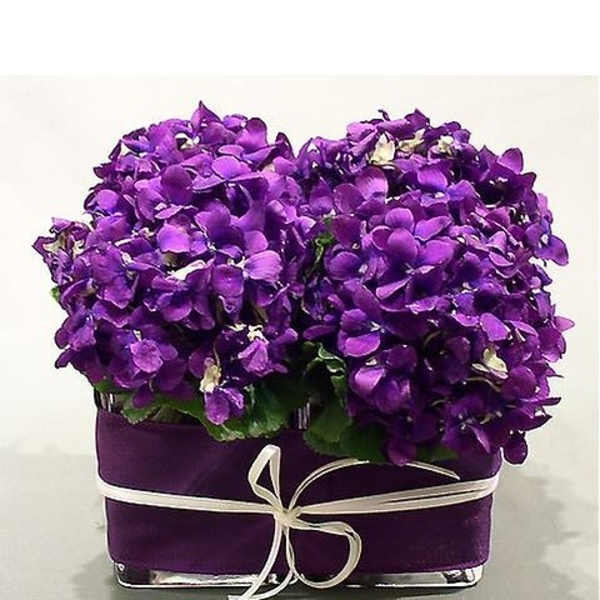 Lavendar Love
