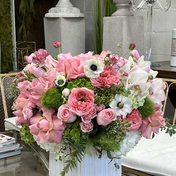 Sofia Pave
