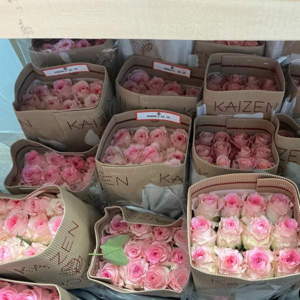 Bunch of light Pink roses