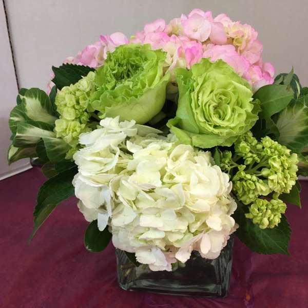 Bouquet of pink, green, and white hydrangeas in a square glass vase