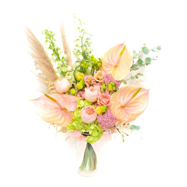 Anette