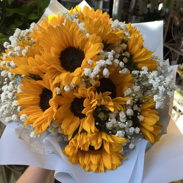 Bouquet of yellow sunflowers with white baby's breath