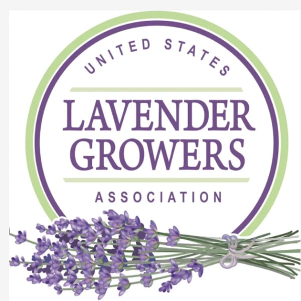 Lavender bouquet graphic with a circular Lavender Growers Association logo