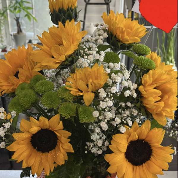 Bouquet of sunflowers, green button mums, and baby's breath in a glass vase