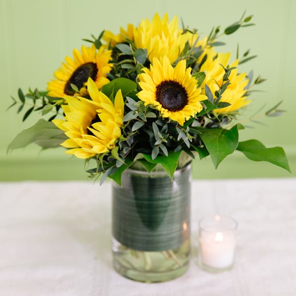 Summer Sunshine