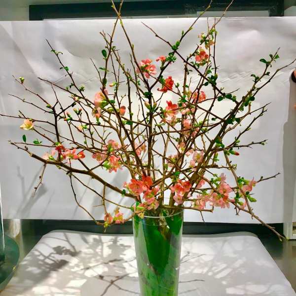 Branch arrangement with pink blossoms in a tall glass vase