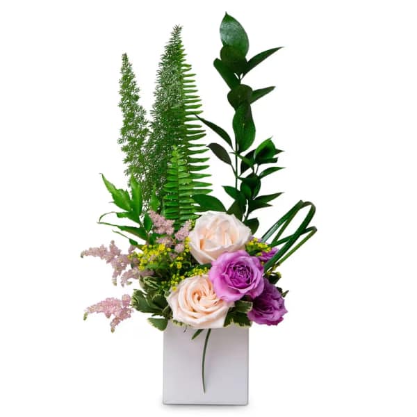 Spring Has Sprung