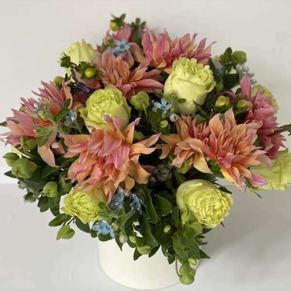 PENHILL WATERMELON