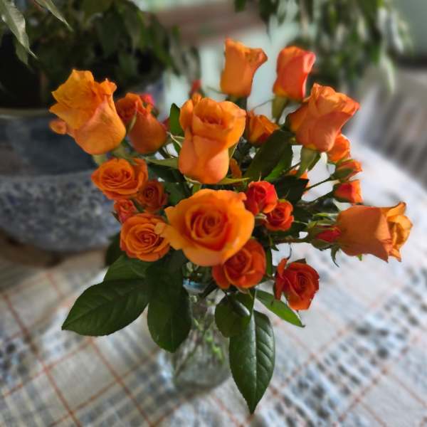 Orange roses arranged in a clear glass vase