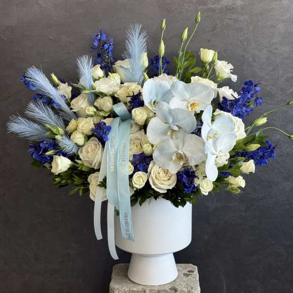 Amelia