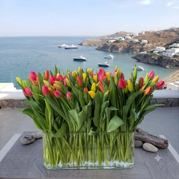 Rectangular glass vase filled with pink, yellow, and orange tulips