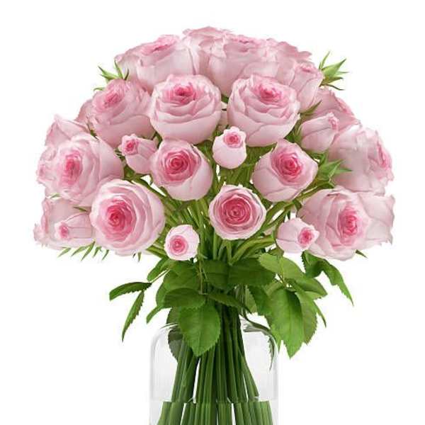 Bouquet of pale pink roses in a clear glass vase