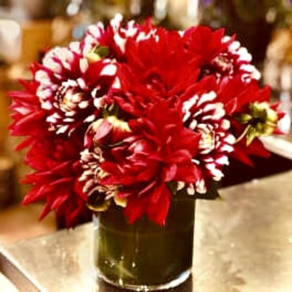 Red and white flowers arranged in a glass vase