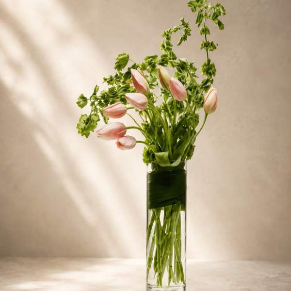 Blush Whisper Tulips